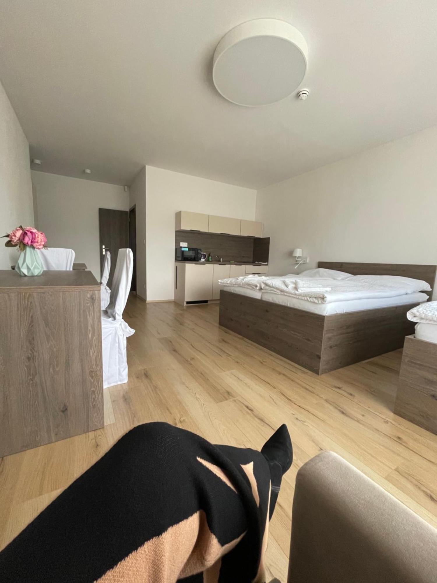 Zafir Guest house *