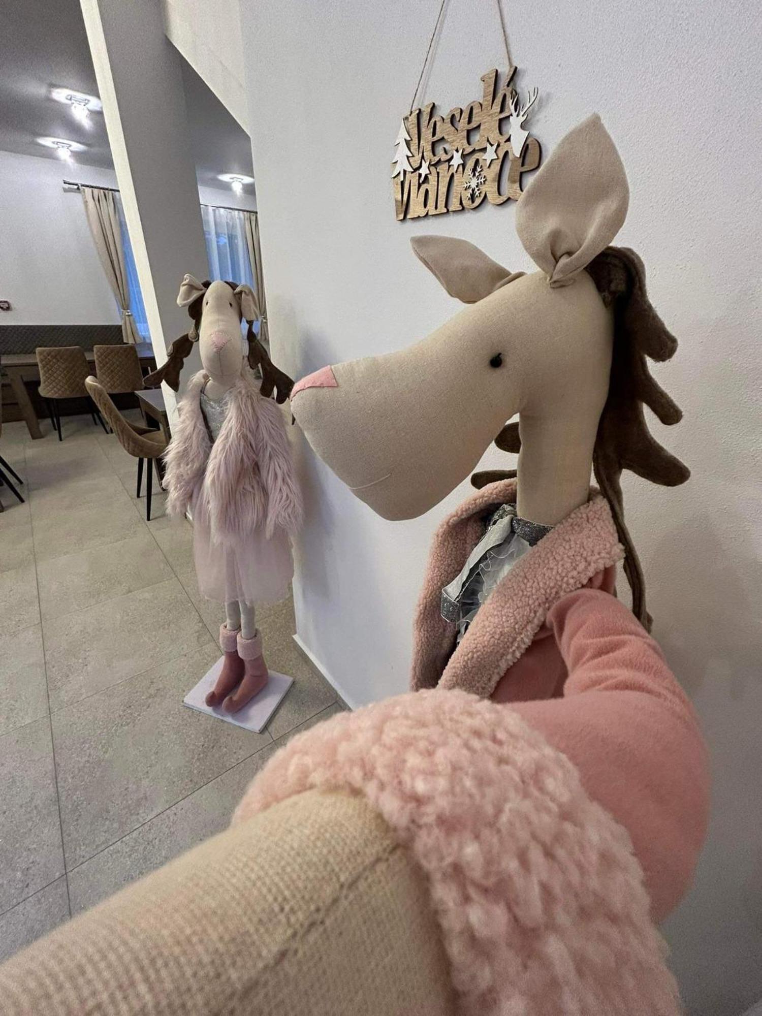 Zafir Gasthof Dunajská Streda